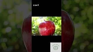 It's Possible to Fit the World's Population in an Apple