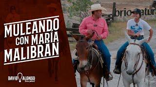 Muleando con María Malibrán