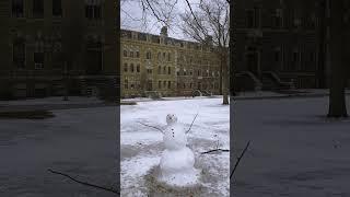 Snowy scenes at Cornell. ️