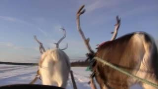 En traineau avec le Père Noel