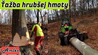 Ťažba krajšej a hrubej hmoty/Orvex LT 100/Stihl ms 461/462/Working in forest  @AmlesOrvexLT100