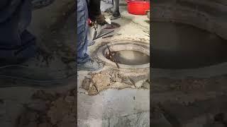 Qashqadaryoliklar bormi