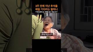 2주 전에 지난 추석을 매일 기다리는 할머니#롱롱tv #롱롱티비 #치매 #할머니 #치매증상 #치매노인 #치매예방 #치매가족 #가족 #사랑