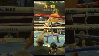 Boxing combo  #boxing #mma #usa #muaythai #boxer