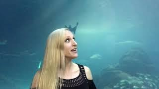 NACE June 2018 Plus Bloopers Interactive Experiences at Adventure Aquarium