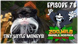 The Tamarin Exhibit - Minecraft SMP: Zoo and Wild Animal (ZAWA) Mod - S3E78