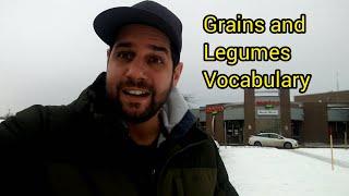 Grains and Legumes Vocabulary