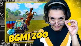 Welcome to BGMI ZOO | Solo vs Squad Funny PUBG Live Highlights