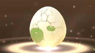 Part 7, Sustainability Week - 2km Egg Hatch (25 April 2024)