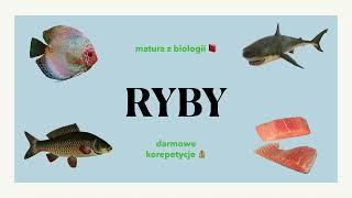 #29 Ryby - budowa, charakterystyka  matura z biologii  liceum 