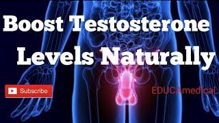 How To Increase Your Testosterone Levels Naturally: Ways you can use to boost your Testosterone