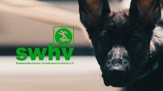 swhv - Südwestdeutscher Hundesportverband Turnierhundesport