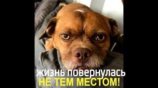 17 нелепых НЕУДАЧ, которые выведут из себя самого УРАВНОВЕШЕННОГО человека!