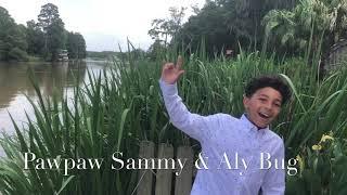 Pawpaw Sammy & Aly Bug Intro