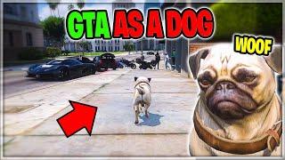 KILLER PUG Takes Over Entire City in GTA 5 RP!!