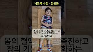 뇌교육 수업 - 장운동 #체조 #브레인트레이닝 #뇌체조