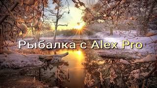 Зимний фидер. Новогодняя рыбалка. Alex Pro