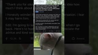 Was Reaching Out the Right Choice? A Lifesaver’s Dilemma #snowypawshorts #redditstories