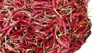 Healing Spices and Condiments in Pankaj Oudhia's Medicinal Plant Database. Part-105
