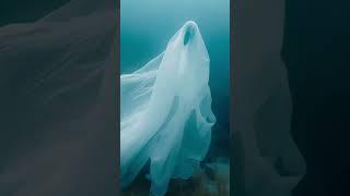 [GHOST GEAR] AI Short film by AXIS  #ai