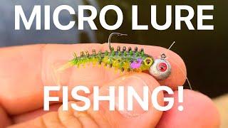 Perch Fishing with Micro Lures!