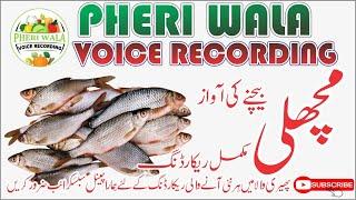 Machli Bechne Ki Awaz | Aslam Darzi Ki Awaaz | Pheri Wala Voice Recording 2022