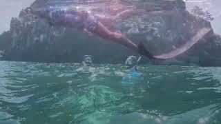 Vlog 신엄 체험다이빙 - 안쌤 프리다이브의 제주 프리다이빙 (AnSam Freedive)