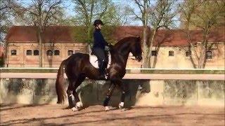 DANKESCHÖN im Training mit Henrike Sommer