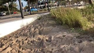 COMO É A PRAIA DE FORT LAUDERDALE FLORIDA ESTADOS UNIDOS
