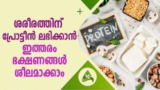 These foods will Increase Your Protein Intake | Arogya Kaumudy