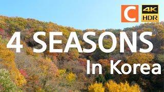 [UHD] 한국의 사계 4K (Four Seasons)