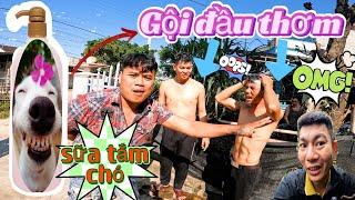 Mẫn Huyết Áp và Quốc Bẻm gội Đầu bằng Sữa tắm của Chó từ Thiết Khmer ?