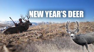 Late Season Mule Deer || A New Year's Day Deer Hunt