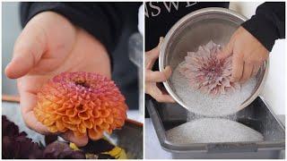 Drying Flowers with Silica GelCrystals + A Fun Way to Display Them!  // Garden Answer