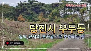 [매물번호:2941]당진토지매매당진시 우두동 싼 땅 / 투자용,농막,묘자리로 추천드리는 임야+대지매물 /대지76평, 임야188평 / 매매가 5,000만원