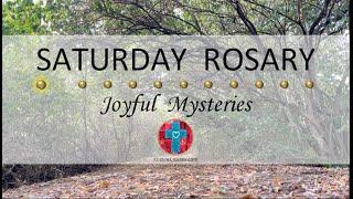 Saturday Rosary • Joyful Mysteries of the Rosary  October 12, 2024 VIRTUAL ROSARY - MEDITATION