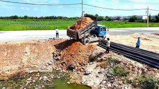 Wow Good Skill Bulldozer D31P & Truck 5Ton Collaborate take project Pour dry soil​ on Flooded land