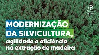 Florestas plantadas viram aliadas da economia e do meio ambiente - Programa #78 - Agro Em Foco