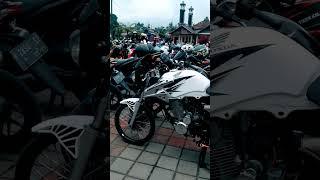 Tiger albino ni bos senggol dong #fyptiktok #herexsquad #tigerherexindonesia #shorts #200cc #herex