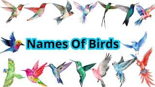 Birds Name Vocabulary in English: Easy To Learn