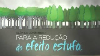 Os benefícios das florestas plantadas   The benefits of planted forests