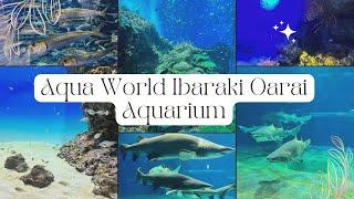 Aqua World Ibaraki Oarai Aquarium | Full inside tour | Japan 