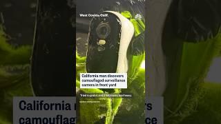 California man discovers camouflaged surveillance camera in front yard
