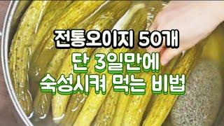 오이지 단 3일만에 노랗게 숙성시켜 먹는 비법!