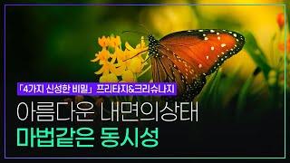 프리타지&크리슈나지 4가지 신성한 비밀_아름다운 내면의 상태가 불러오는 마법같은 동시성