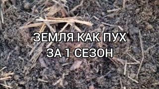 РЕЗУЛЬТАТ ЗА СЕЗОН. ПЛОДОРОДНАЯ ЗЕМЛЯ И КАК ПУХ. ПОСАДКА ПОДАРКА ОТ ПОДПИЩИКА.