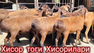 СУРХОН ХИСОР ТОГ ХИСОРИ КУЙЛАРИ КУ́ЧКОР ТАЛАБ ТАЙЁРЛАРИ