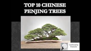 Top 10 Chinese Penjing trees #landscaping _ elements# free HD Nature  Amazing new Video  2023 Bonsai