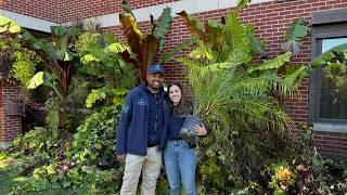 HUGE Plant Giveaway! He Gave Away Thousands of Plants for Free