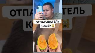 ПРОВЕРИЛ ОТПАРИВАТЕЛЬ ДЛЯ КОШКИ #shorts